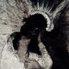 sonmi._0