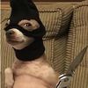 ghavfdtngfhf_4