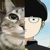 meowmorw98