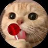 Funny pets