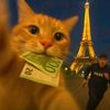 cats.love.eating.f