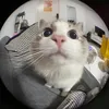 _nooneeeeeeeeee