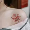 tin.nguyn0974