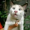 biawak.kece85