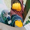 pahh_ae03