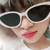 th_vy1308