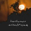 m_arshad_7010