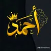 aqeelahmed41303