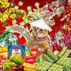 huyenpho84