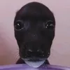 ngduclongwsea