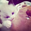 nabila_micel_7