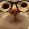 j0hnrhye