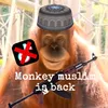 monkey__muslim