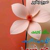 hatobacho339