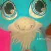 faw.paw00w