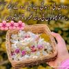 sumairaasgar817