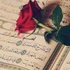 mussarrat.siddiqu7