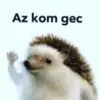 magyar.misike