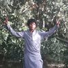 shareef.jaan81