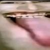 dknga_dk