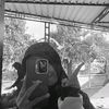 _pitt.14