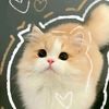 ko.thae3710