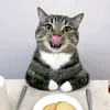 kaff_edit