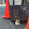 working.cats.az