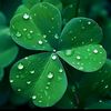 user12237501474548