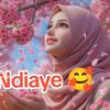 kinn.ndiaye6