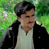 sadarafg1