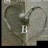 bernstein310