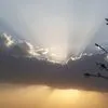 lennardthompson8
