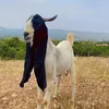 krinofrotn4