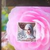 amri.rebah