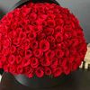 la.rose.blanche9683