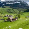 crizlere
