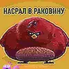 menstruacia_utkonosa_mak