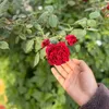𝑂𝑙𝑎.🍒