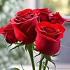 vijitha.k8