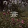 aizahidrees