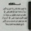 saiftarek83