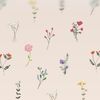 winniethepooh_19