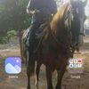 user9223512028843
