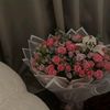 mariamabarrie241