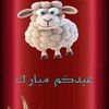 user6148137024628