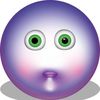 thiskiwi_istoofly