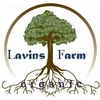 lavins.farm