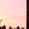 fadzan_7825