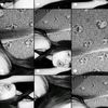 mamamuda_449
